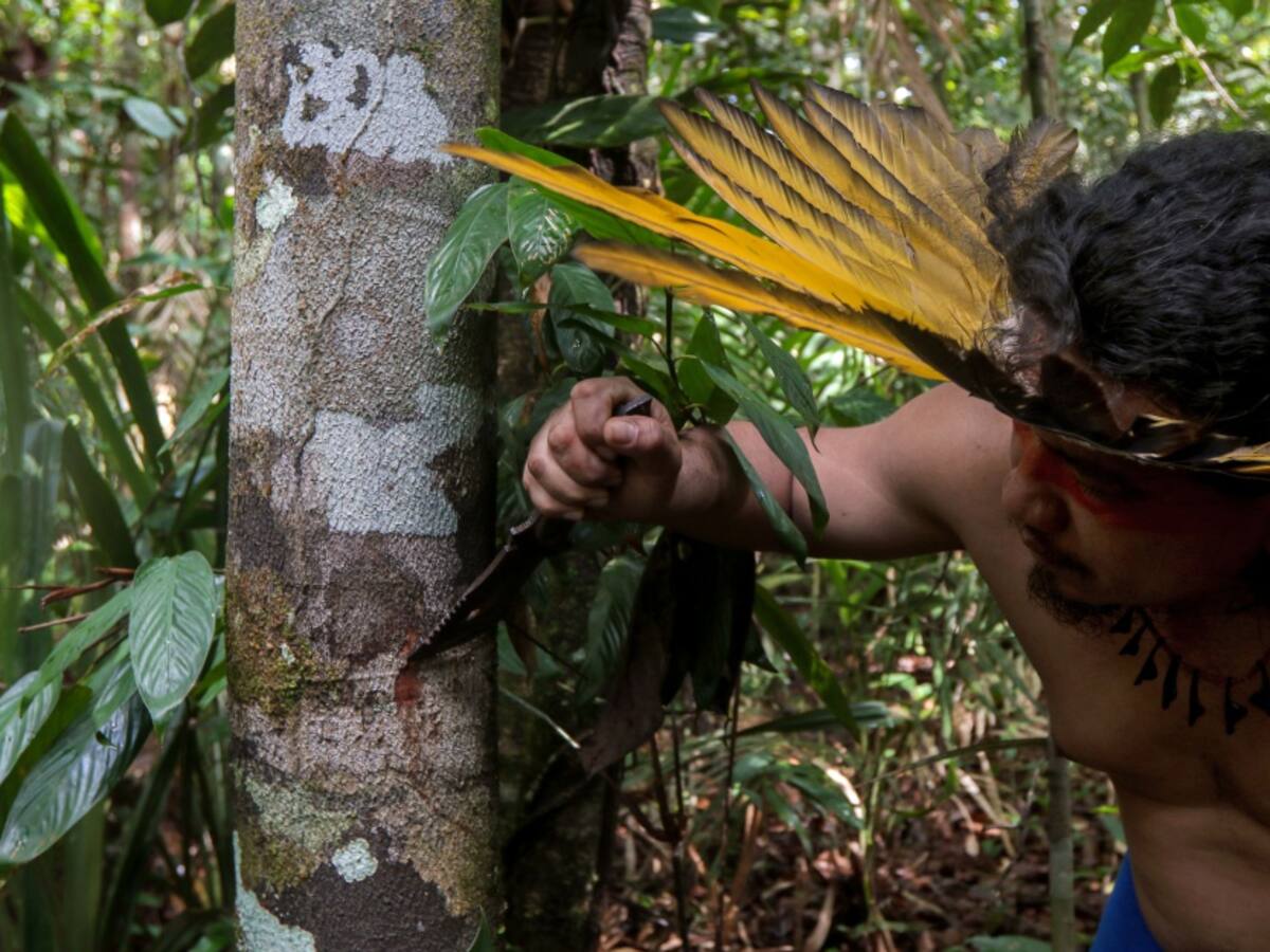 Artistas se unen para apoyar a los indígenas afectados por COVID-19