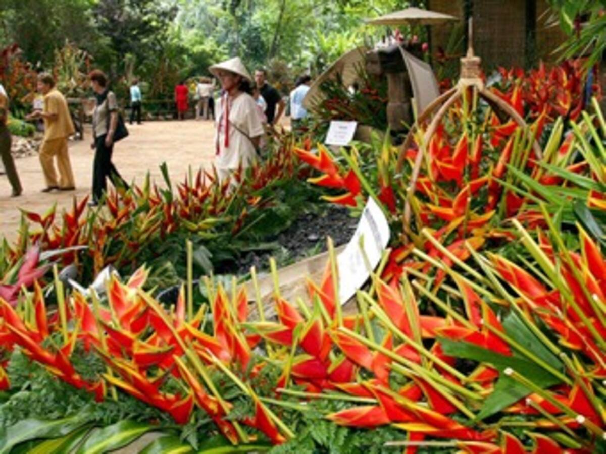 Conozca los principales eventos de la Feria de las Flores en Medellín