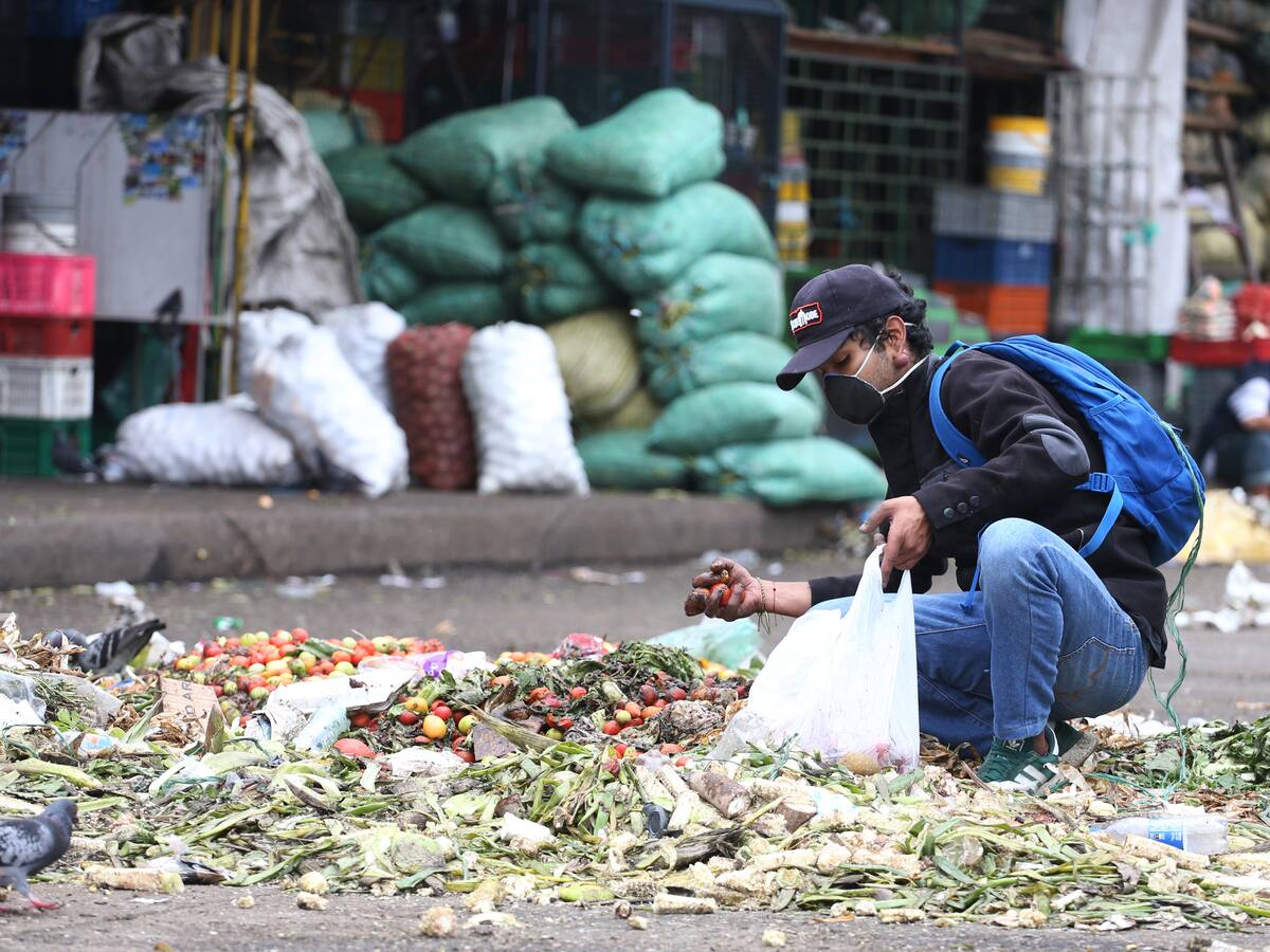 Las centrales de abastos un motor de sostenibilidad