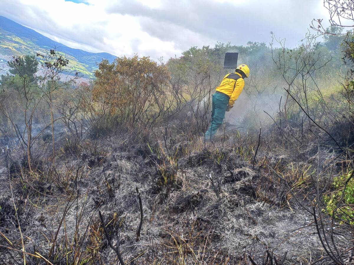 Incendios y caída de árboles, principales emergencias por estos días en Pasto