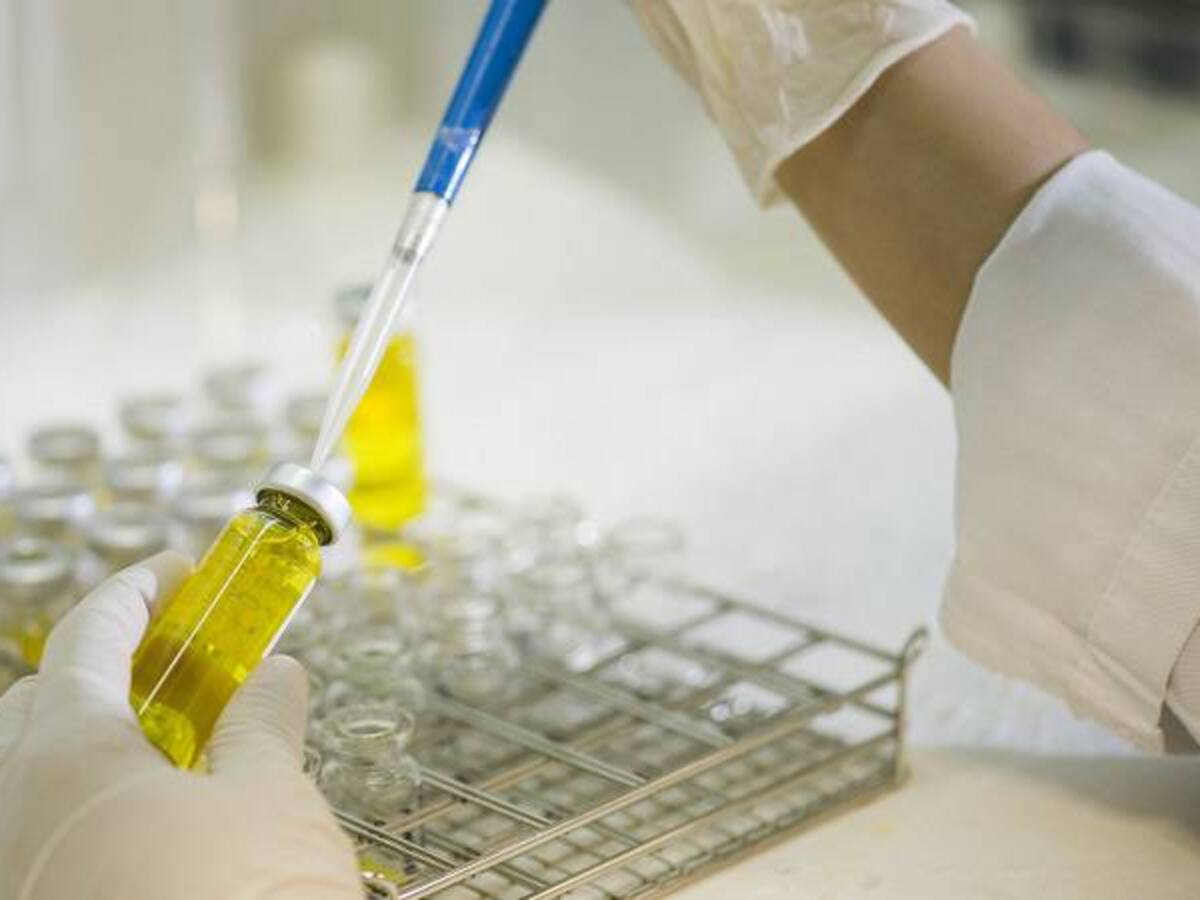 Pruebas de paternidad a bajo costo