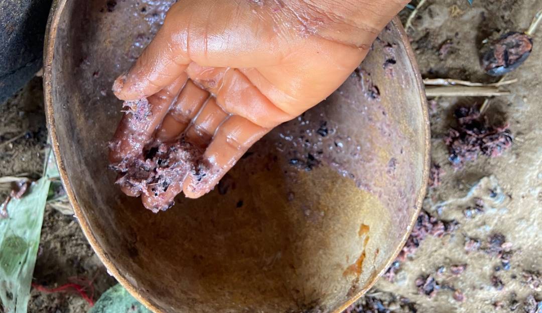 Indígenas Nukak by Caracol Radio