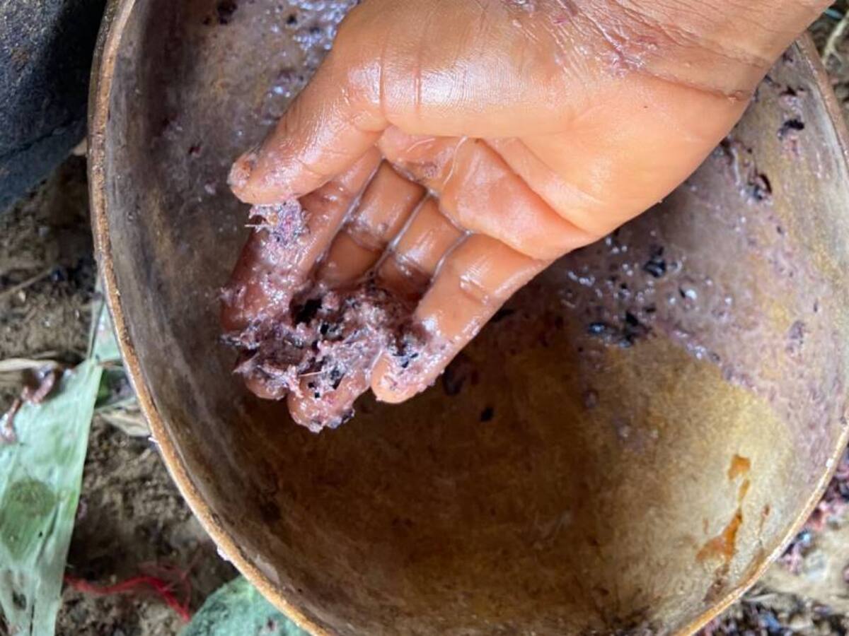 Critica situación alimentaria en las comunidades indígenas Nukak