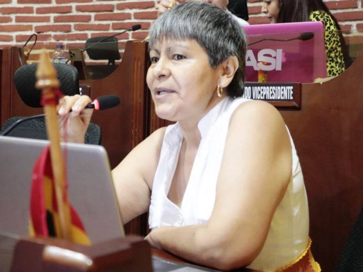 Concejo pidió mayor gestión a la UMATA frente al maltrato animal