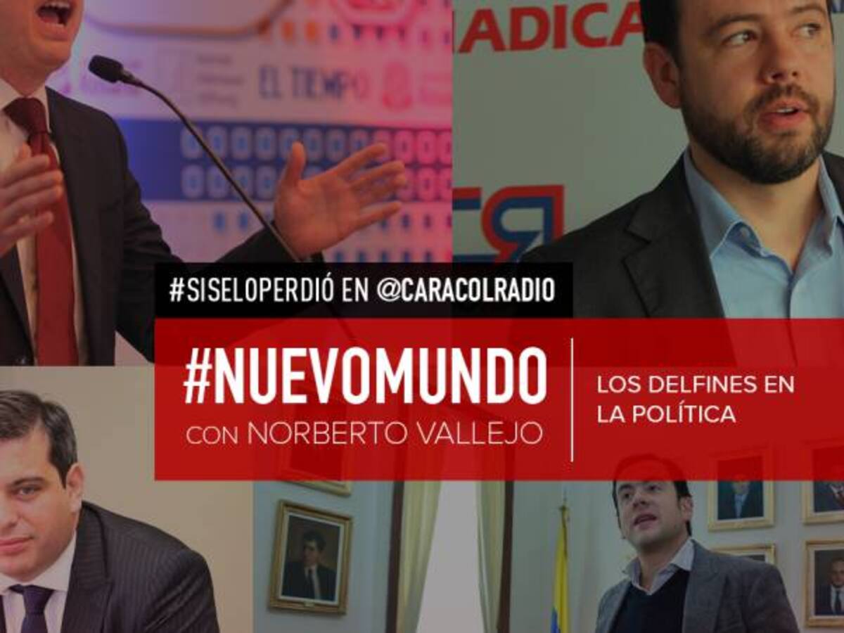 Los delfines en la política