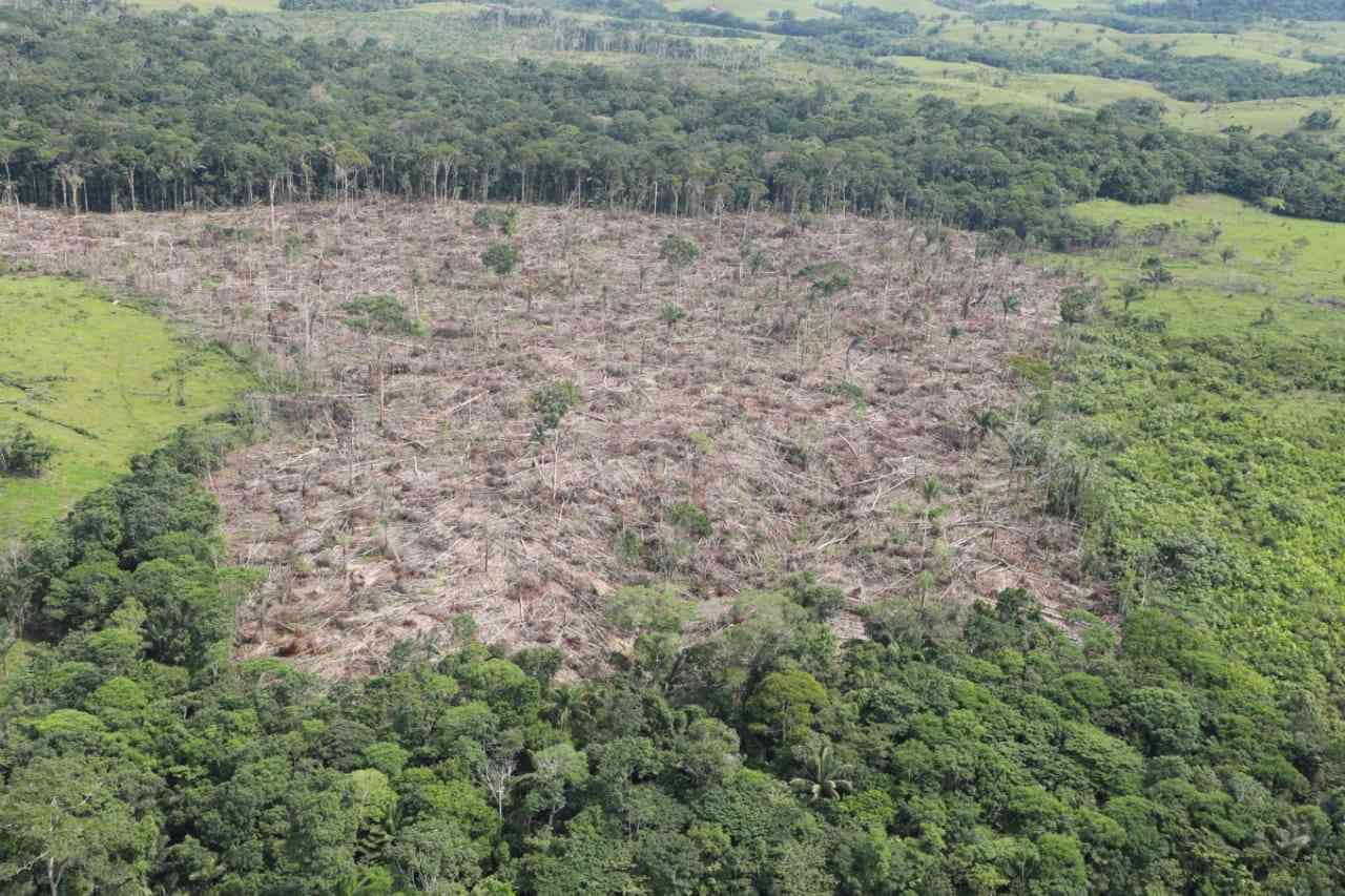 Las autoridades ambientales reportaron las situación ante el Ministerio de Medio Ambiente.