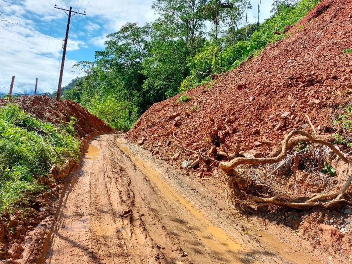“No tenemos vía terrestre al Valle del Cauca ni plan B”: personera de San José del Palmar, Chocó