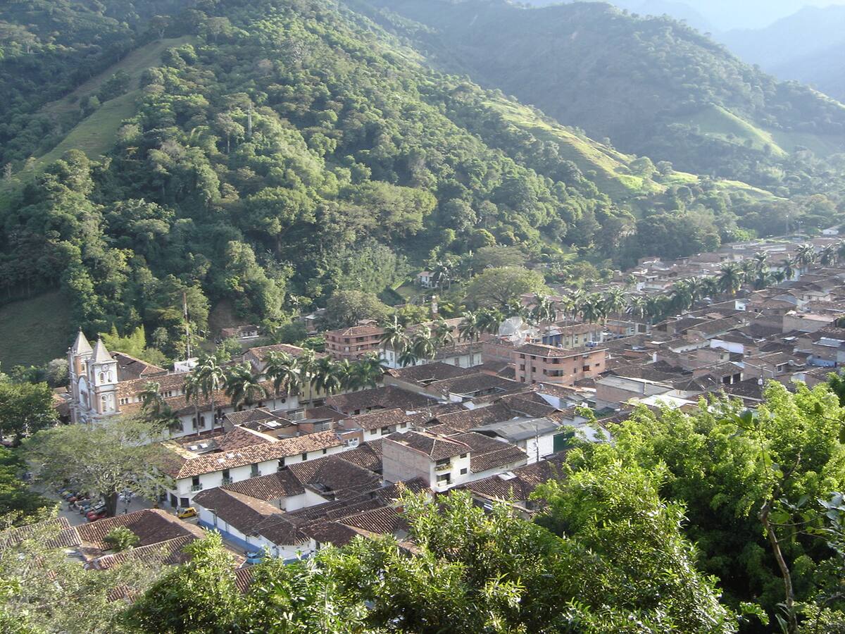 Masacre en Antioquia: tres recolectores de café fueron asesinados en Ciudad Bolívar