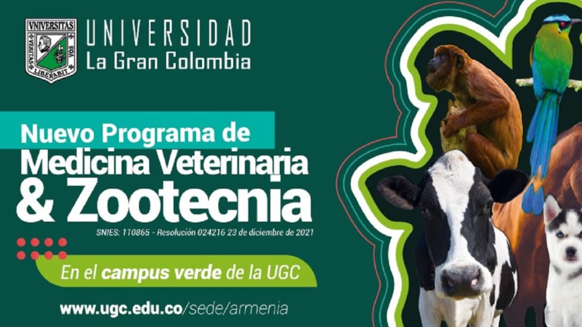 Jorge Alberto Quintero, rector Gran Colombia Armenia