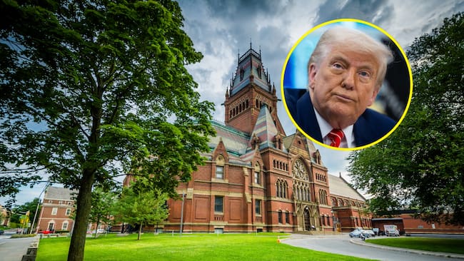 Harvard denunció que suspensión de Trump de visados para estudiantes extranjeros es ilegal. Foto: Shutterstock/EFE.