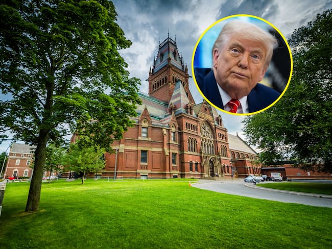 Harvard denunció que suspensión de Trump de visados para estudiantes extranjeros es ilegal. Foto: Shutterstock/EFE.