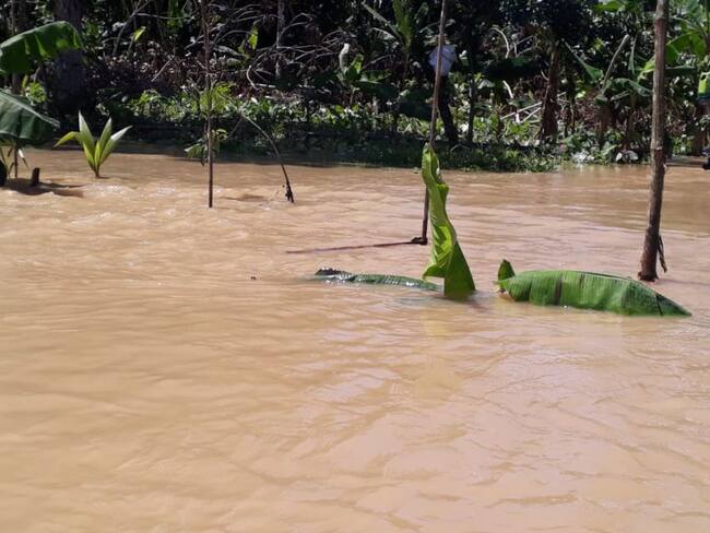 Son tres mil las familias afectadas en Vigía del Fuerte por las lluvias