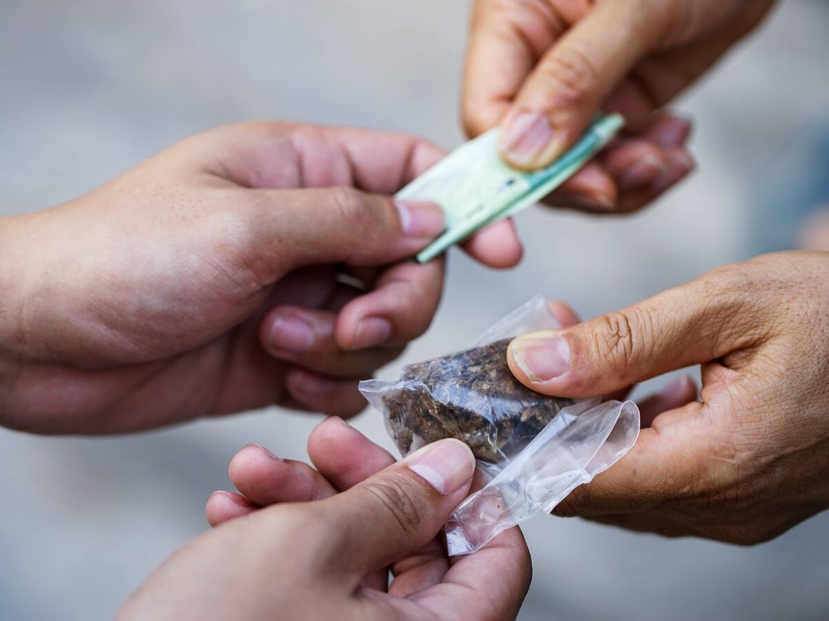 “Estamos en un proceso eterno con la coca, no importa qué hagamos, eso continúa”: Francisco Thoumi, sobre su legalización