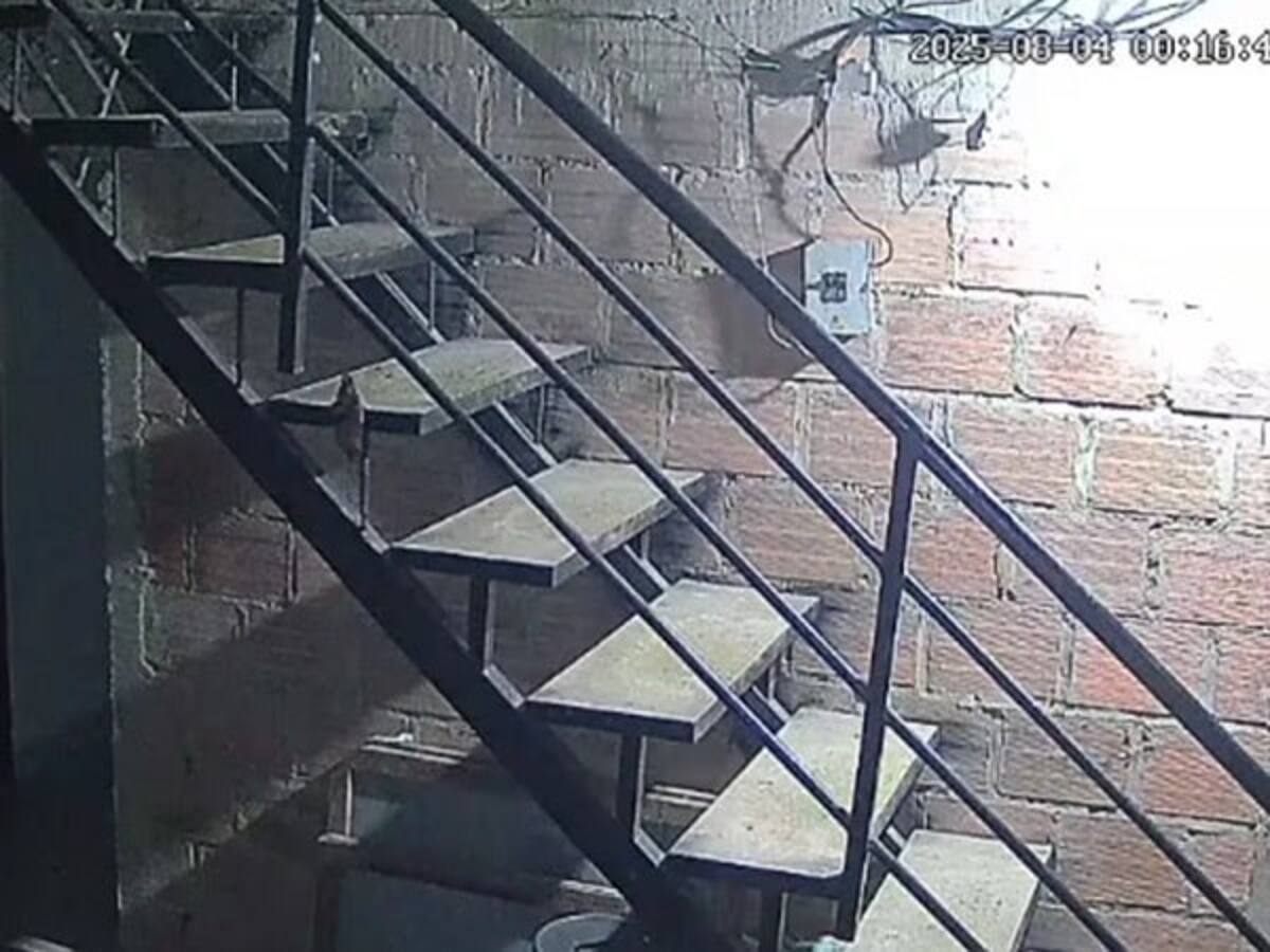 Emiten orden de captura contra presunto agresor sexual de una joven en Buenaventura