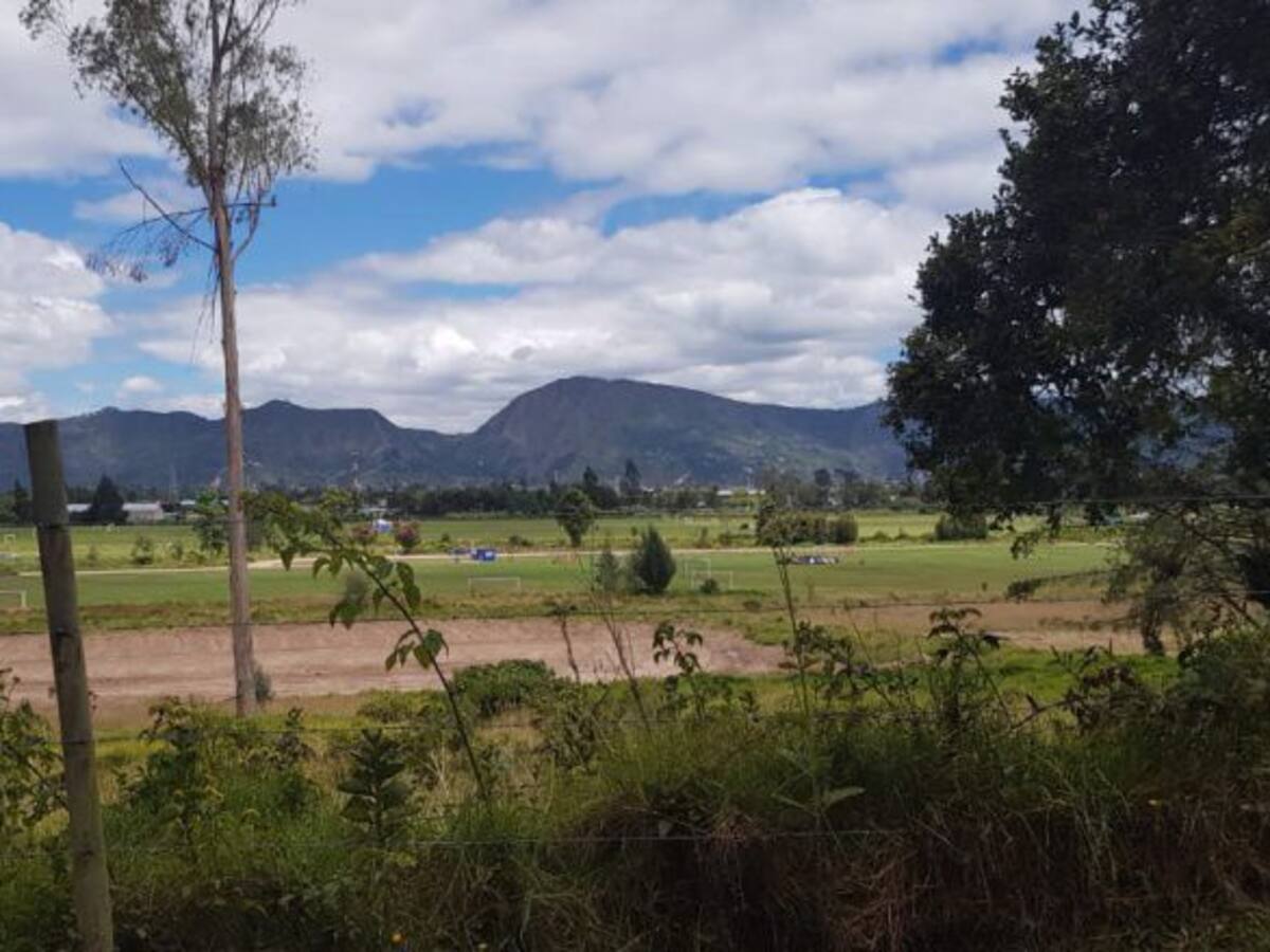 Proyecto de la reserva Van Der Hammen no tiene soporte: Instituto Humblot