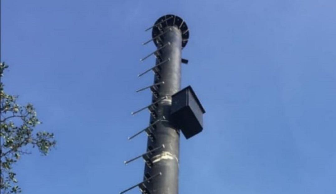 Tower 3 deberá pagar más de 18 millones de pesos por las infracciones que cometió al instalar la antena en el Centro Histórico