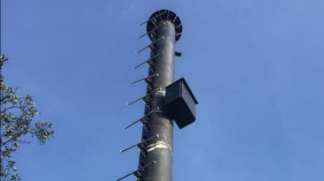 Tower 3 deberá pagar más de 18 millones de pesos por las infracciones que cometió al instalar la antena en el Centro Histórico