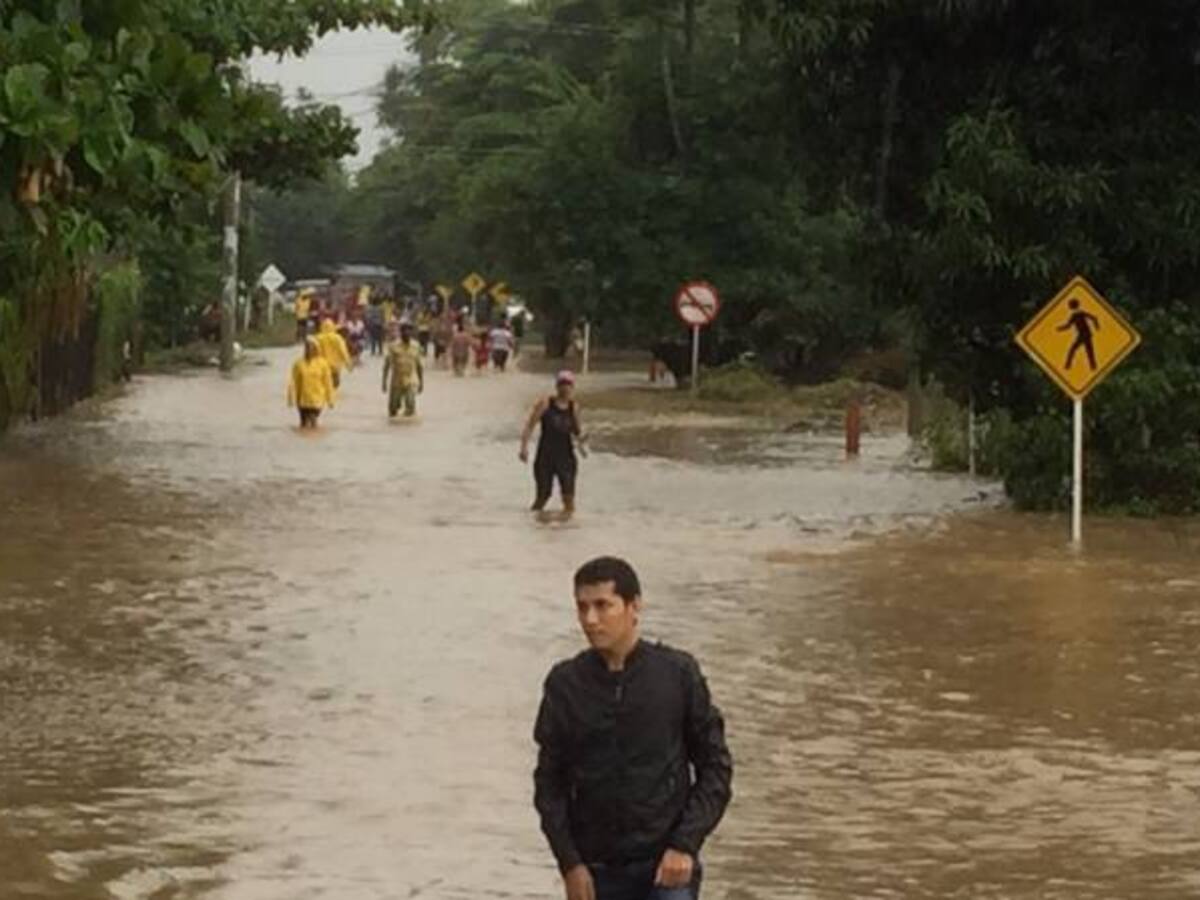 Lluvias afectan a 4 millones de potenciales votantes: MOE