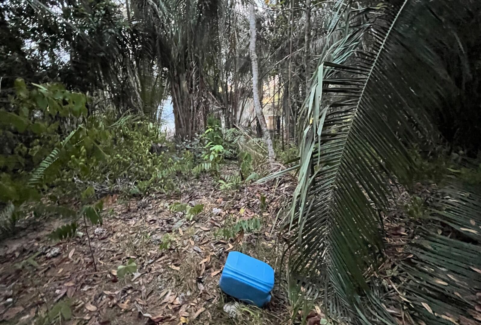 Bomberos encuentran galón con gasolina en zona afectada por incendios en el Tolima. Foto: suministrada.