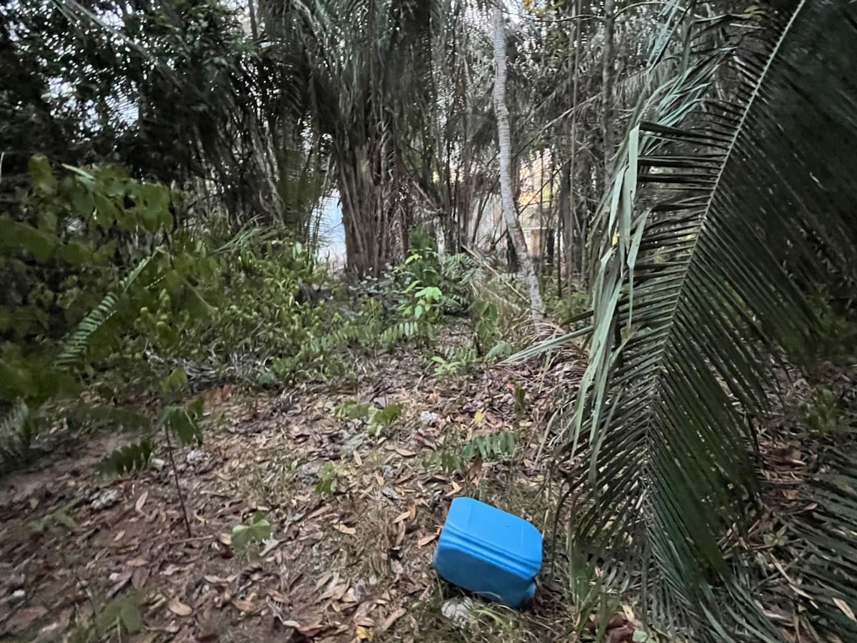 Gobierno confirma captura de 2 personas por presunta provocación de incendios en el Tolima