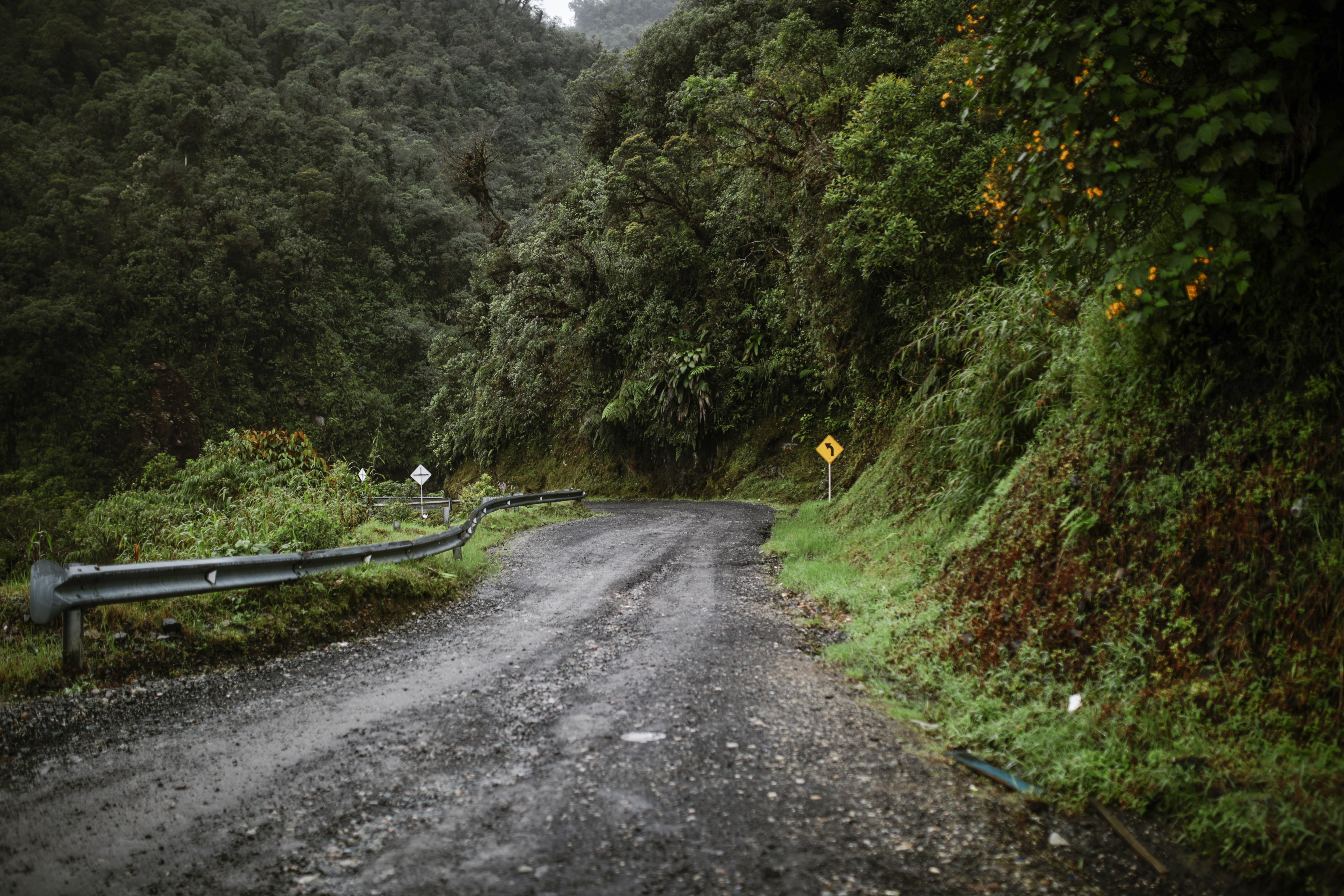 Carreteras reales por el Trampolín de la biodiversidad en Putumayo y Pasto, via Mocoa a San Francisco. | Foto: Juancho Torres / Anadolu Agency via Getty Images