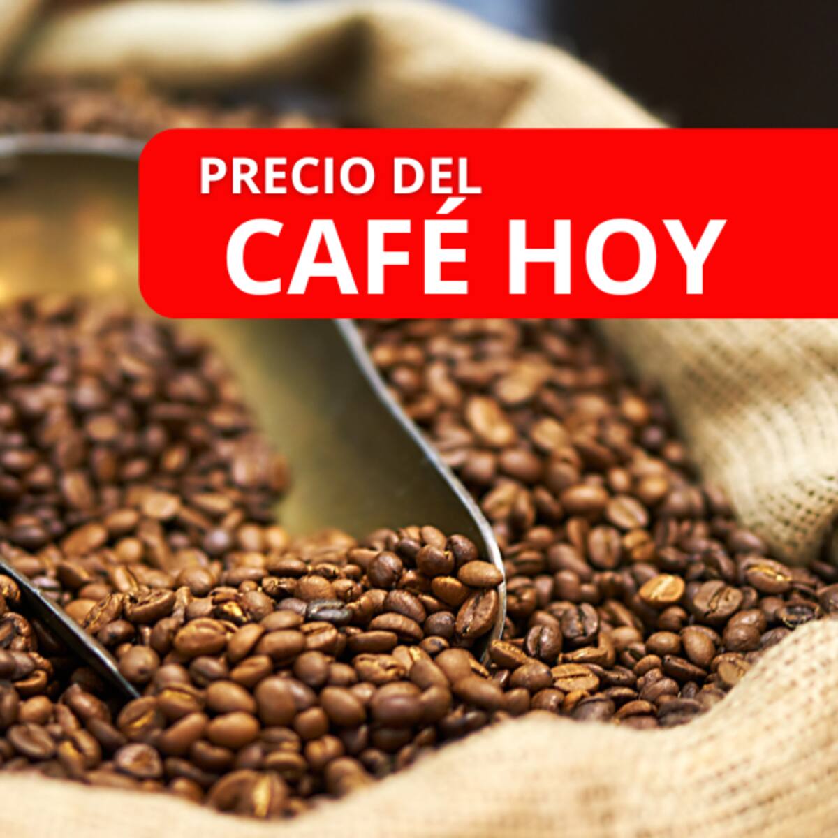 ¿Subió de nuevo? Precio café HOY 11 de julio: valor oficial de la FNC carga de 125 kg