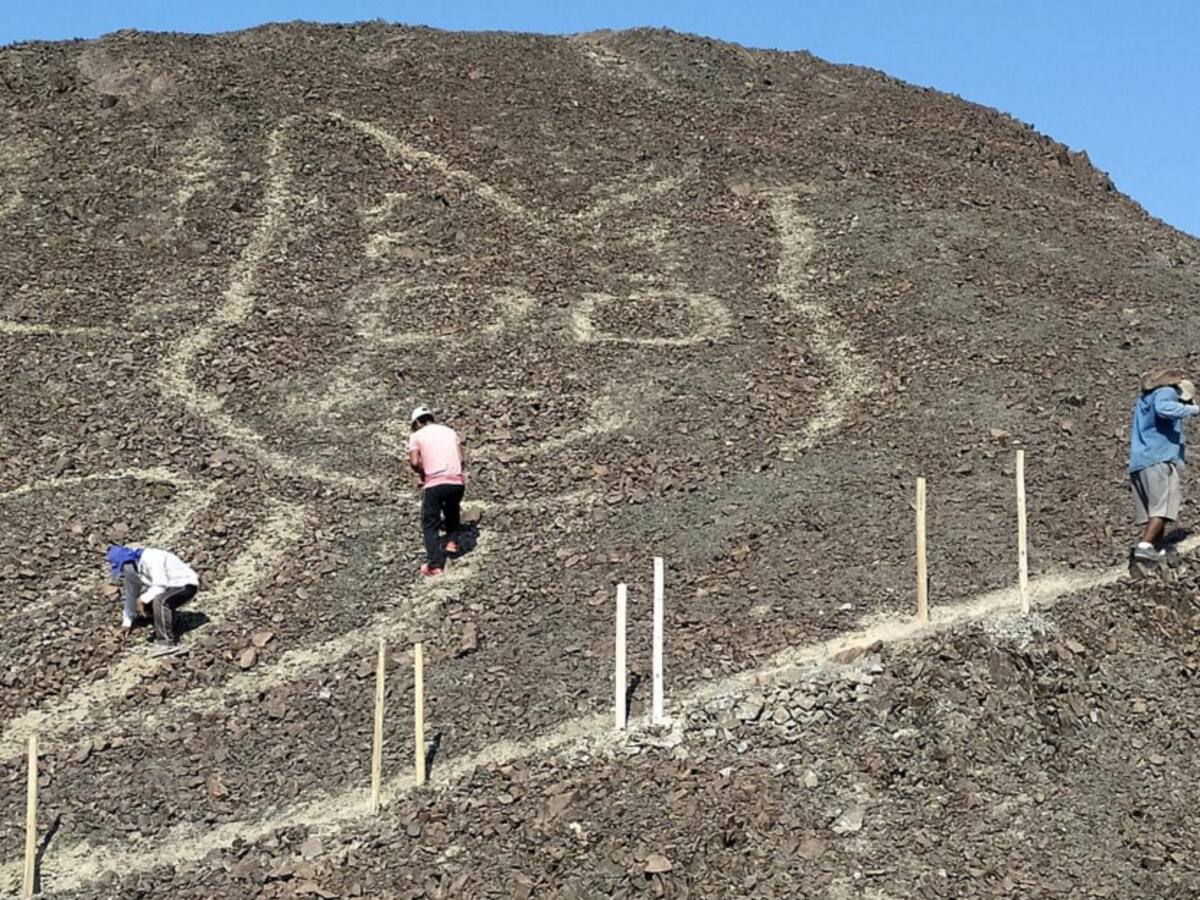 Descubren el geoglifo de un gato de 37 metros en Nazca