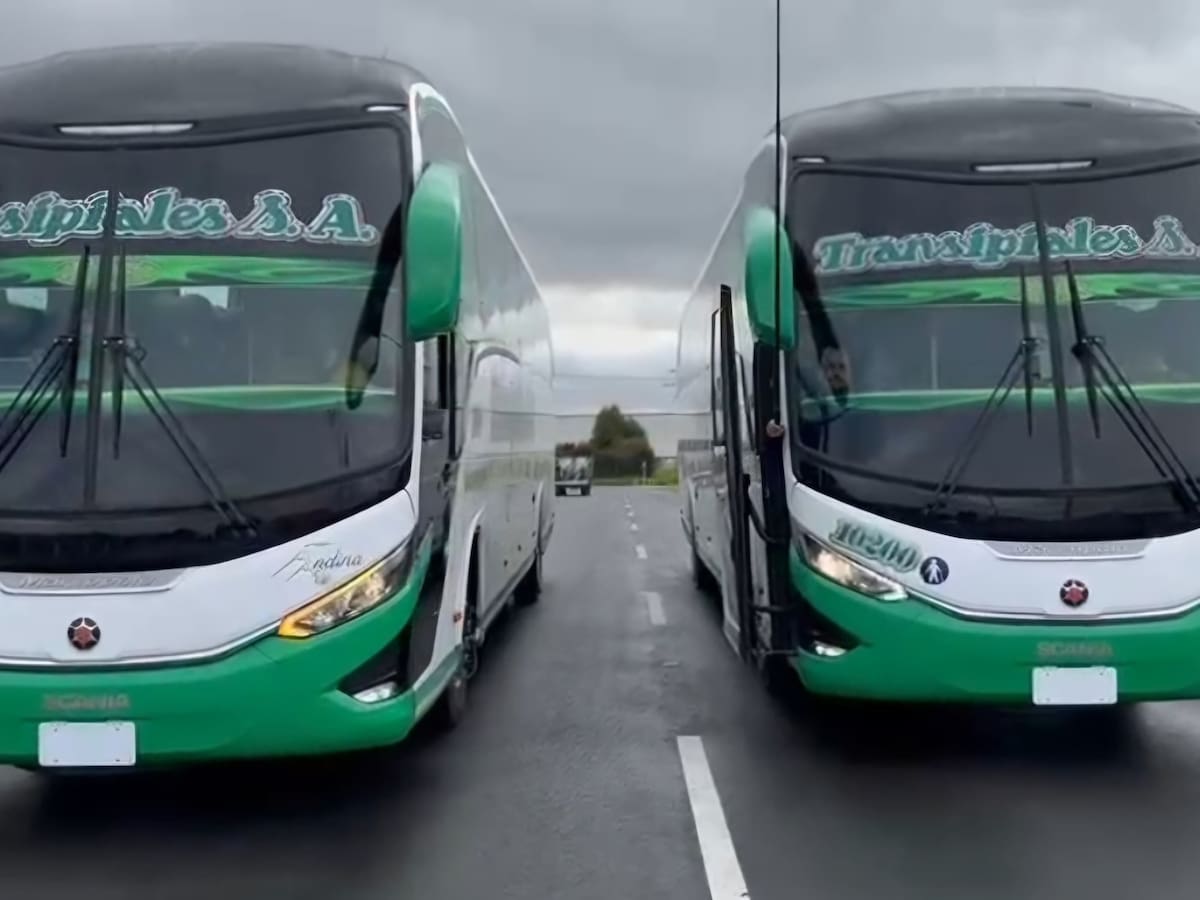 Flota Andina VIP, la nueva apuesta para el transporte de pasajeros en el sur de Colombia