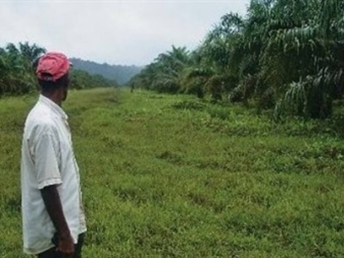 Gobierno se compromete a restituir 100 mil hectáreas en Chocó antes del 15 de abril
