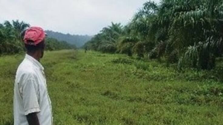 Gobierno se compromete a restituir 100 mil hectáreas en Chocó antes del 15 de abril