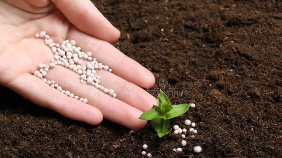 Se implementa la construcción de plantas de fertilizantes en el Huila