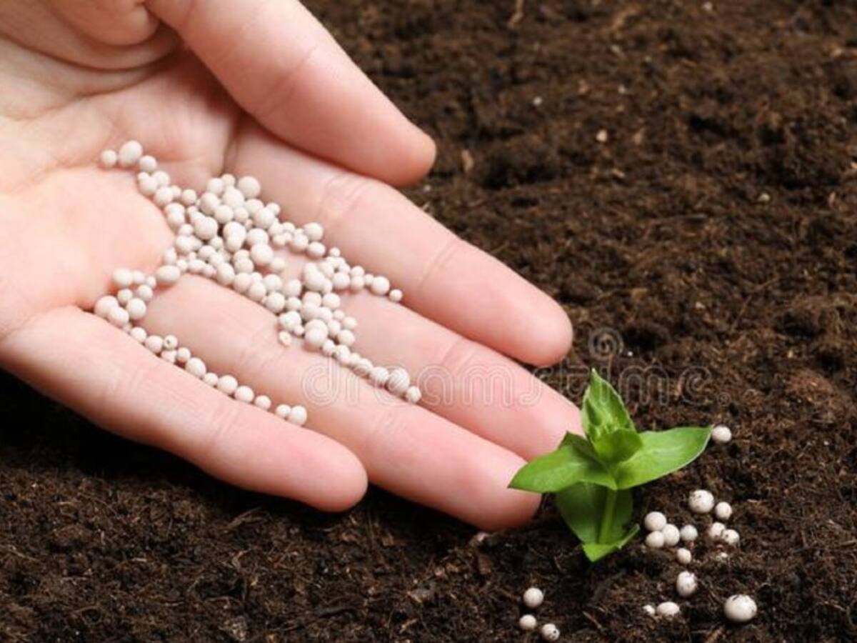 Se implementa la construcción de plantas de fertilizantes en el Huila