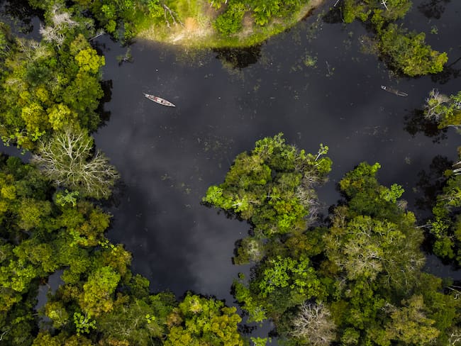 Amazonas, Leticia. Foto: Juancho Torres/Anadolu Agency via Getty Images