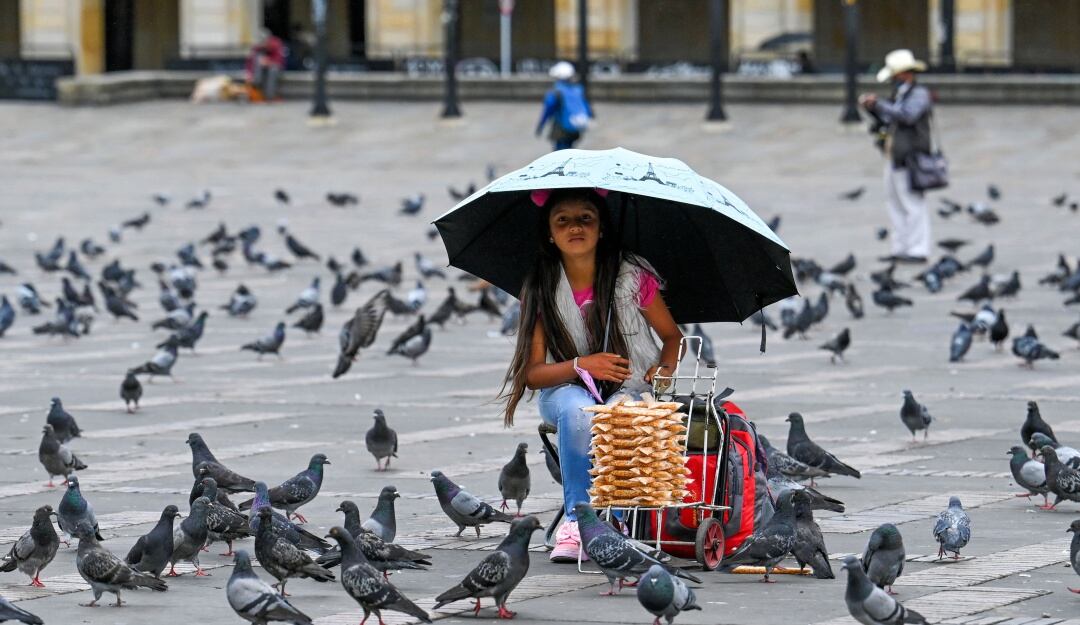 Ingreso Solidario en Colombia 