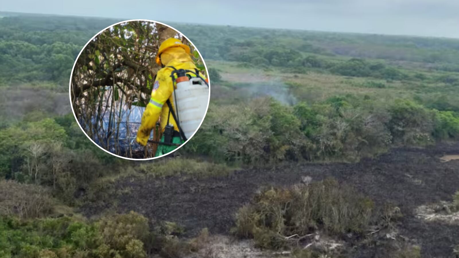 Imagen de referencia de incendio forestal en el Vía Parque Isla Salamanca y atención de bomberos./ Foto: Archivo y cortesía del cuerpo de Bomberos de Sitionuevo, Magdalena