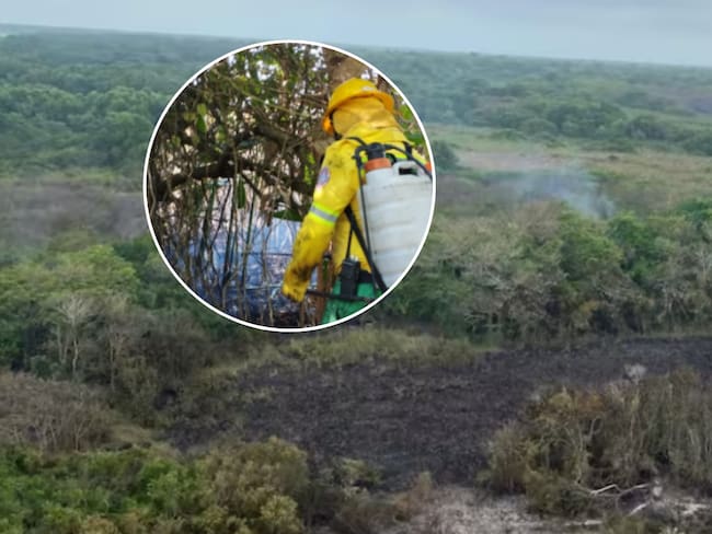 Imagen de referencia de incendio forestal en el Vía Parque Isla Salamanca y atención de bomberos