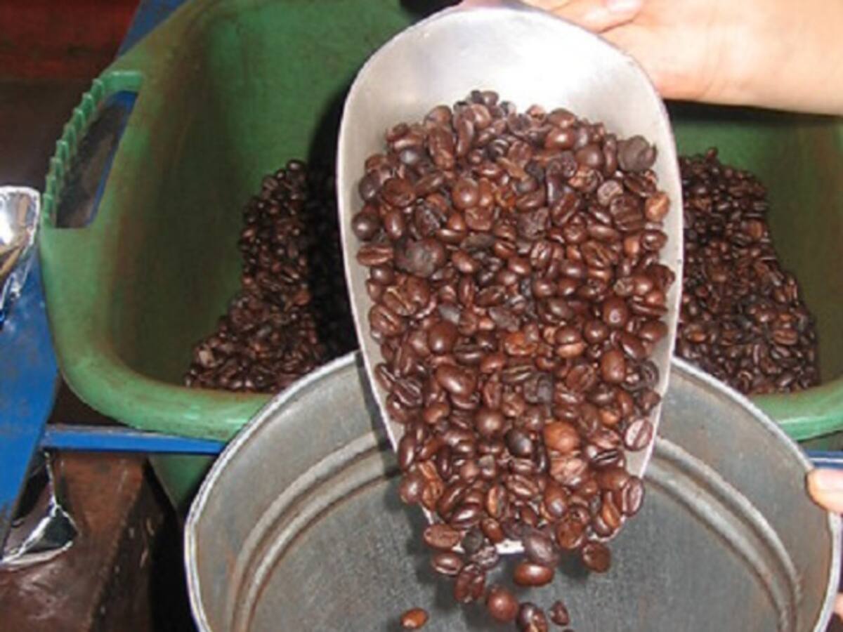 Caficultura colombiana no es viables con bajos precios del café