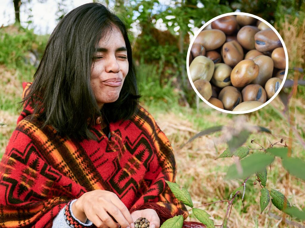 Persona comiendo 'chicles boyacenses' (Foto vía Getty Images)