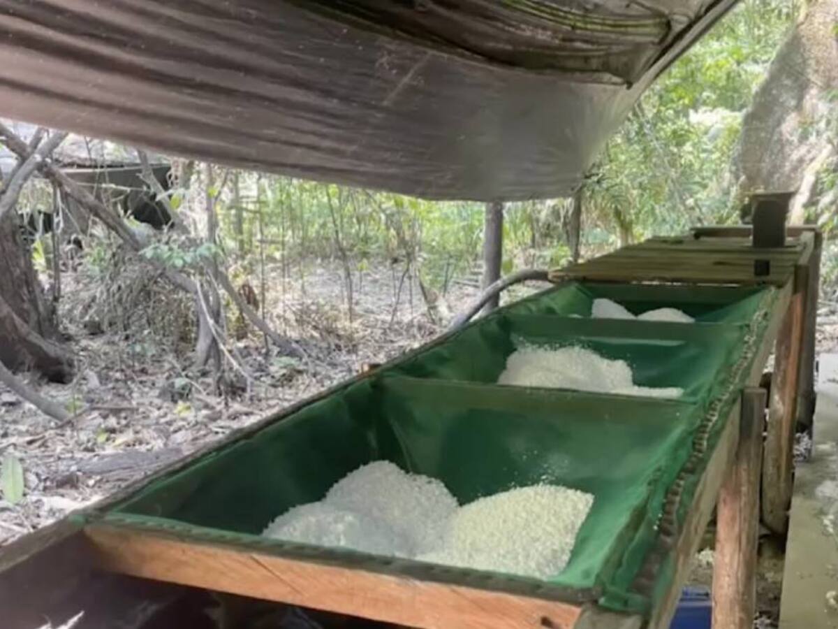 Ejército desmanteló cristalizadero de cocaína del Clan del Golfo