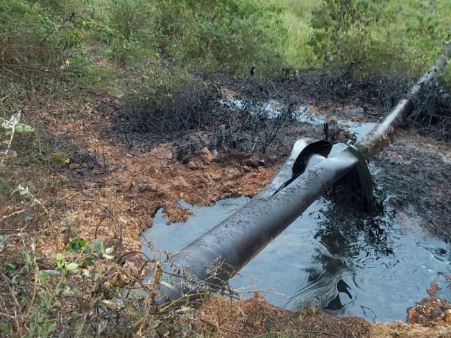 Van 18 atentados al oleoducto Transandino en 2019