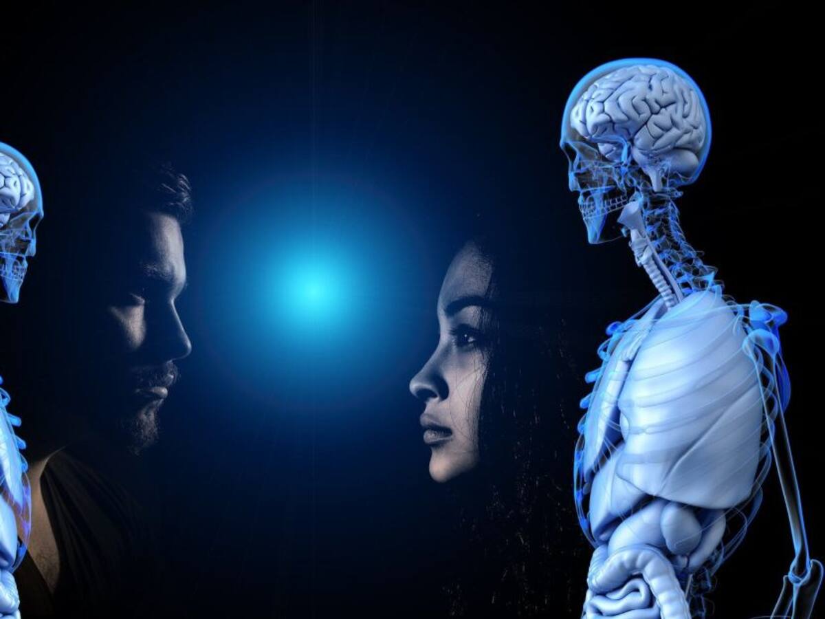 ¿Qué es la consciencia?