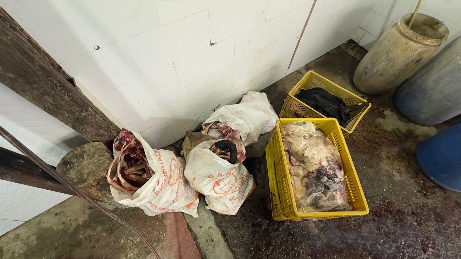 Incautación de carne en descomposición en el Valle de Aburrá. Foto: Meval