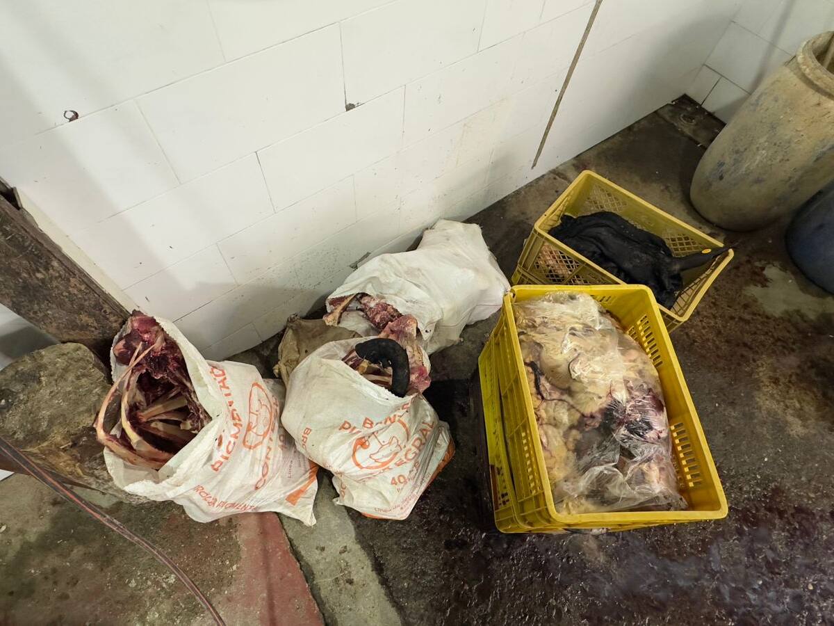 La Policía desmanteló una red que comercializaba carne de caballo en el Valle de Aburrá