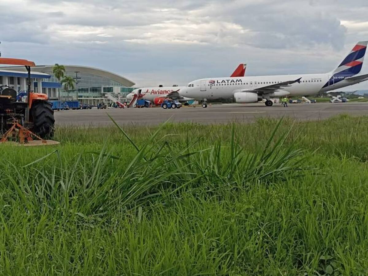 Aeropuerto internacional el Edén alcanza cifra histórica de pasajeros movilizados