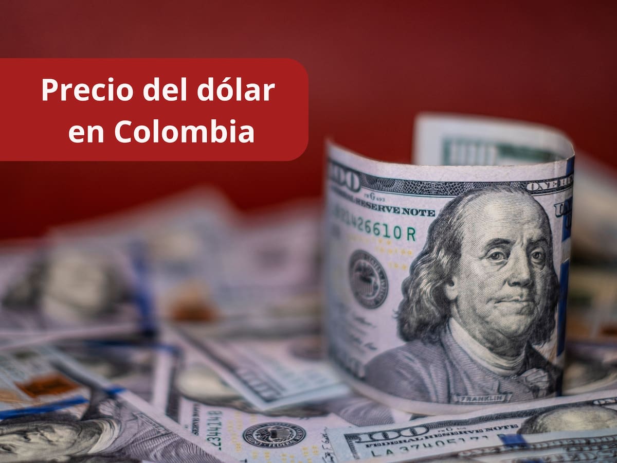 Así se cotiza el dólar en Colombia para HOY 12 de febrero: leve aumento en el precio