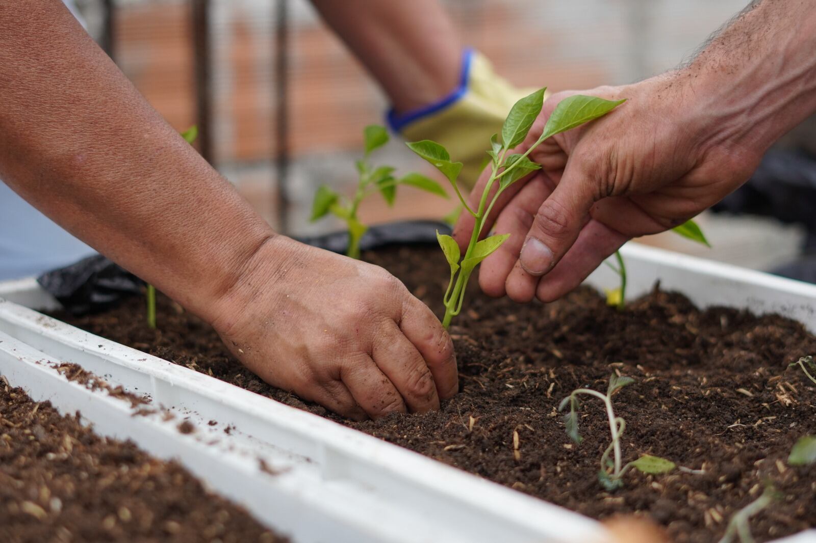 Hogares sostenibles Medellín. Cortesía: Alcaldía de Medellín.