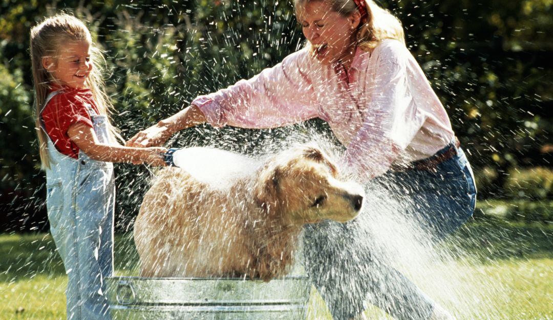 Tips para bañar tus perros de forma más fácil