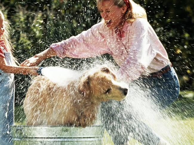 Tips para bañar tus perros de forma más fácil