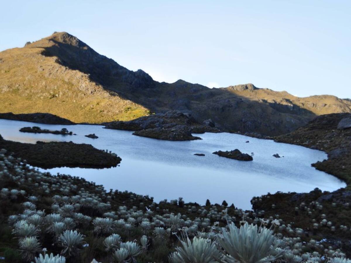 "Hacer megaminería en el páramo de Santurbán no tiene lógica"