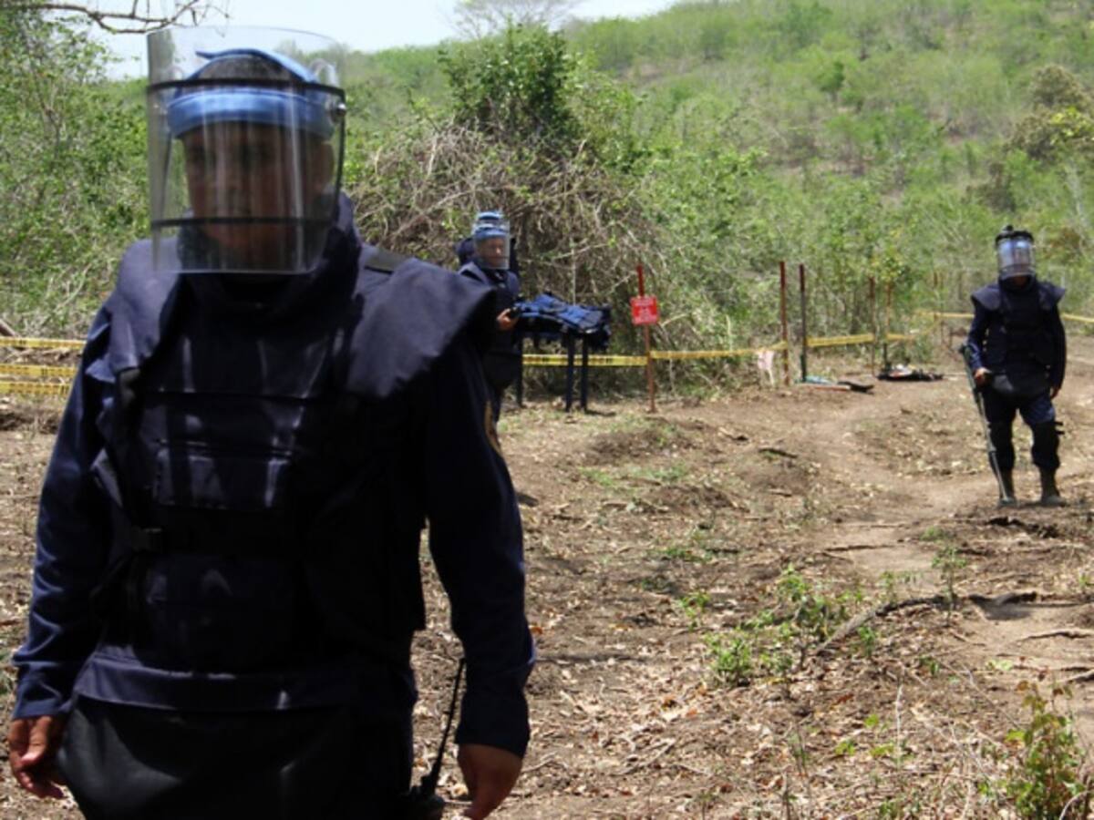 En noviembre continuaría desminado humanitario en Mesetas en Meta